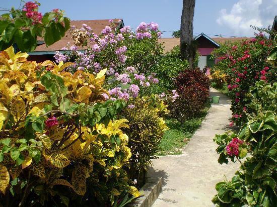 Summerset Residence Negril Exterior foto