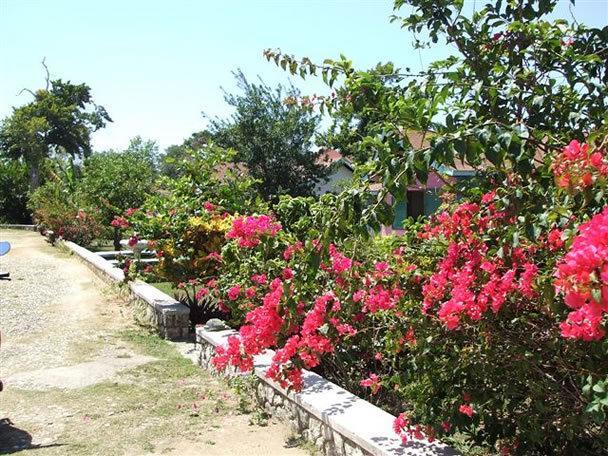 Summerset Residence Negril Exterior foto